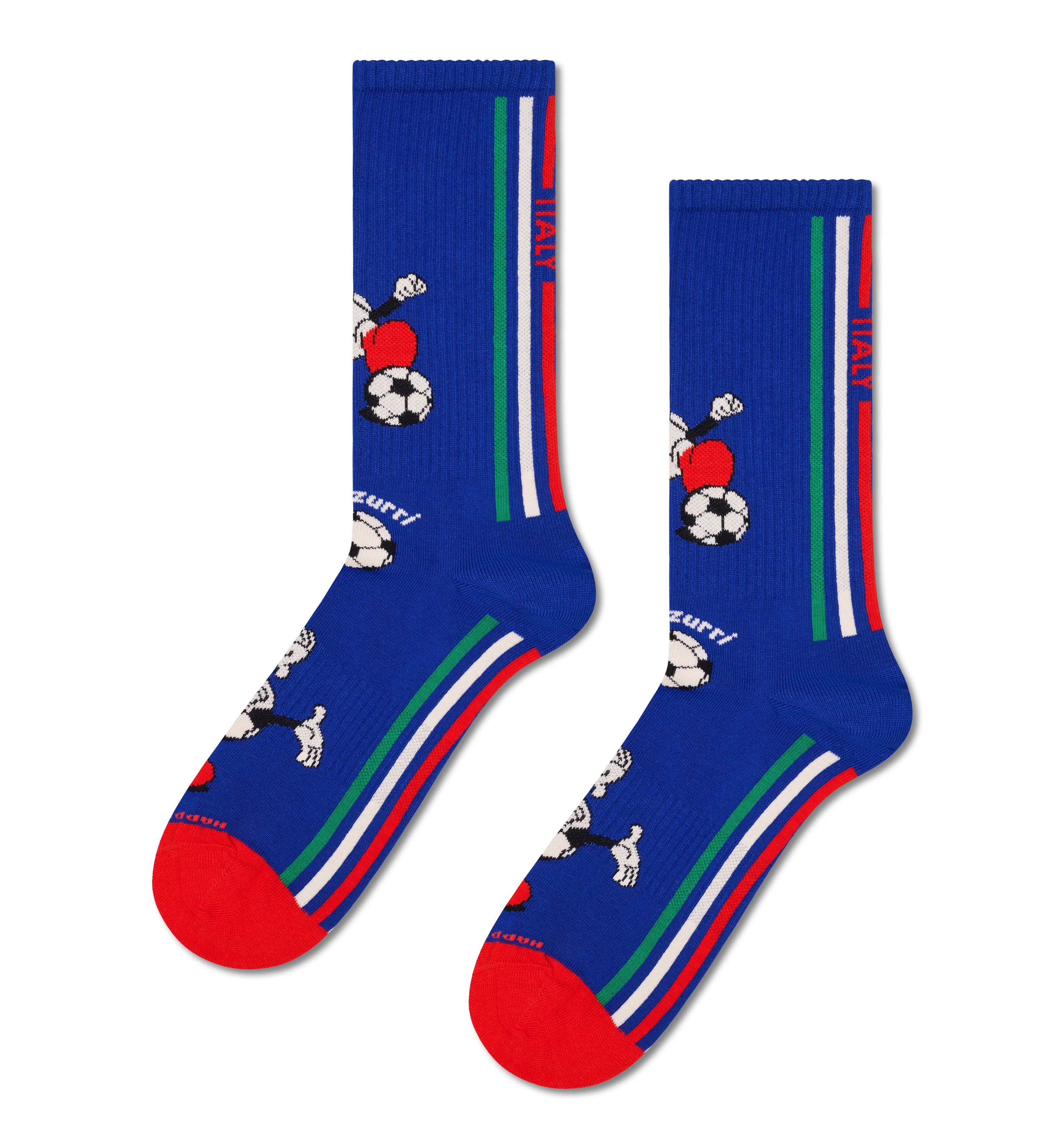 スポーツ  ソックス（ワールドカップ イタリア）